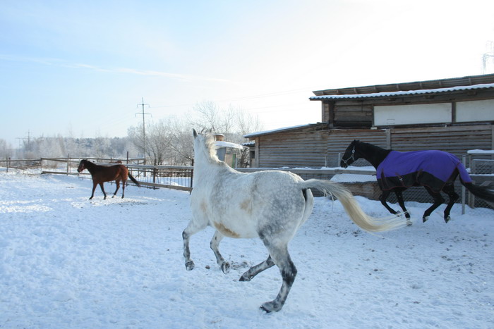 IMG_2059.jpg1.jpg"%20height="467"%20width="700